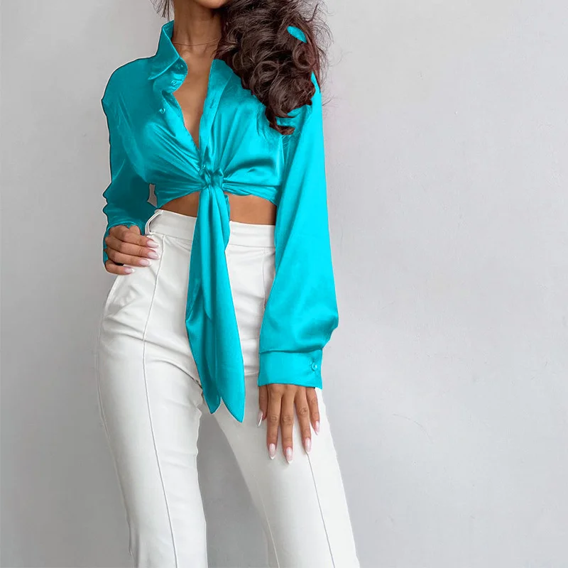 Fashion Elegant Lapel Long Sleeve Cropped Long Sleeve Blouses Delicate Pleat Blouse